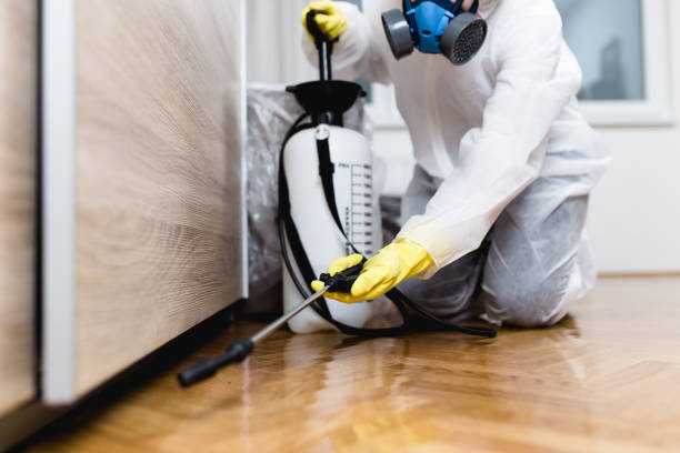Best Rat Extermination Near Me  in Forest Park, IL