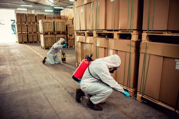 Best Emergency Pest Control  in Forest Park, IL