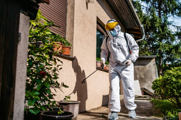 Best Pest Removal Services  in Forest Park, IL