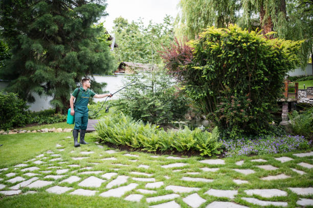 Best Affordable Pest Control Services  in Forest Park, IL