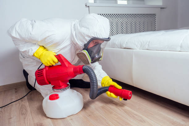 Best Mosquito Control Services  in Forest Park, IL