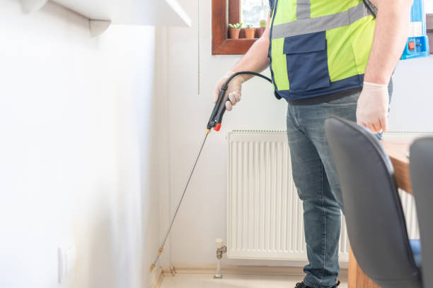 Best Local Pest Control Services  in Forest Park, IL