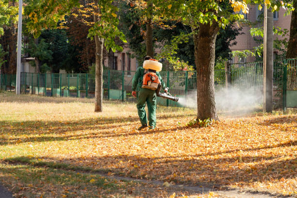 Best Commercial Pest Control Services  in Forest Park, IL